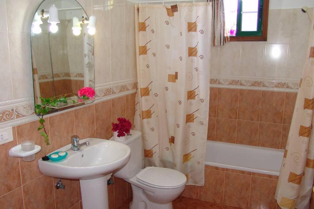 Apartamentos Finca Casa Jardin Тихарафе Екстериор снимка